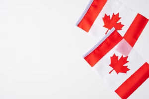 10 Easy Ways to Improve Credit for Students in Canada